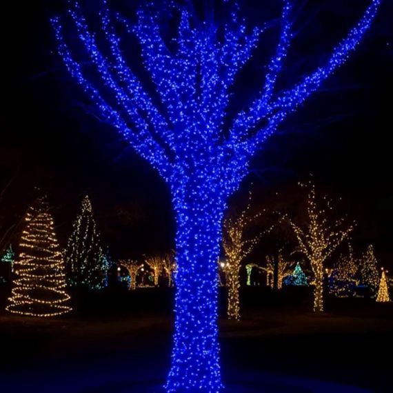 Гирлянда Рождественская фея уличная 100 м 1000 LED белый провод Синий CF1000L100MWBL | Зображення 9
