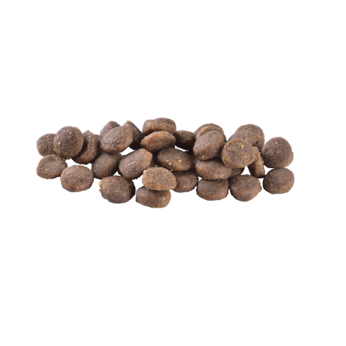 Сухий корм Brit Care Dog Grain-free Puppy для цуценят, беззерновий з лососем, 1 кг | Зображення 1