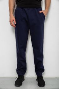 Спортивные штаны мужские на флисе, цвет синий, 238R125