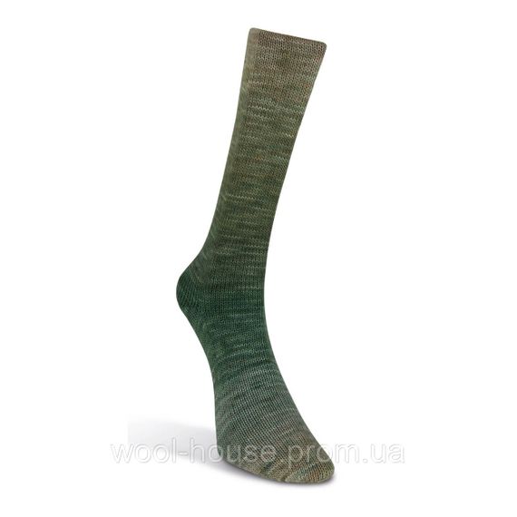 Шкарпеткова пряжа Laines du Nord Watercolor Sock, 200