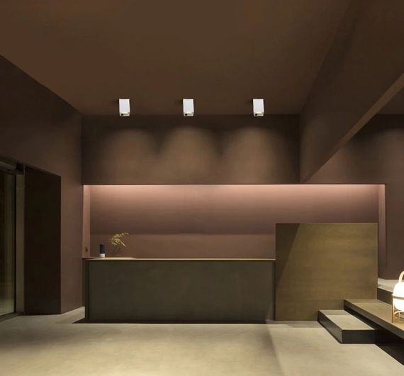 Подсветка тубус накладная AL-78/1 GU10 SWH IP20 MR16 | Зображення 6