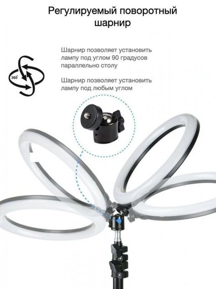Кільцева LED лампа YQ-320B (30см) з утримувачем телефону для бьюті селфі зйомки Ring Light | Зображення 3