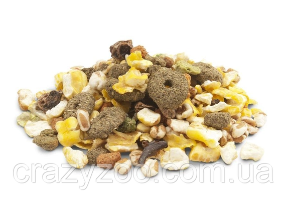 Корм-ласощі для гризунів Versele-Laga Crispy Snack Popcorn зернова суміш 650 г 617304 | Зображення 1