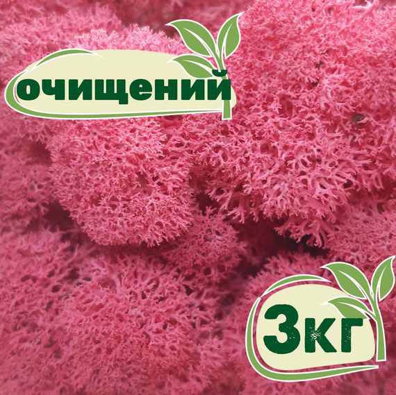 Очищений стабілізований мох ягель Цикламен 3 кг
