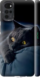 Чохол на Motorola G22 Димчастий кіт "825m-2681-2448"
