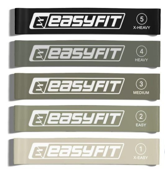 Резинки для фітнесу EasyFit MonoBand набір 5 шт (EF-1813-GY)