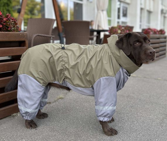 Дощовик для великих собак оливка MB-7