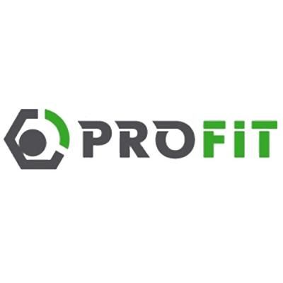 Воздушный фильтр для автомобиля Profit 1512-4186