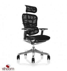 Кресло компьютерное ERGOHUMAN Plus Luxury (EHPL-AB-HAM) Black