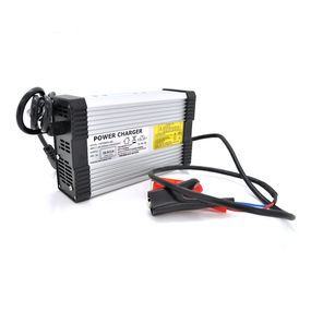 Зарядное устройство Merlion для аккумуляторов LiFePO4 48V (58.4V), 16S, 10A-480W