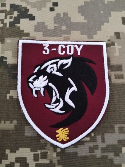 Шеврон 3-COY