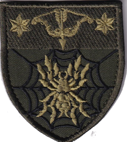 Шеврон 82 батальон 10 АК