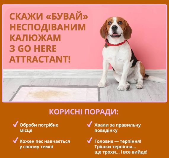 Спрей для приучения щенят к туалету Out! Go Here, 946 мл | Зображення 2