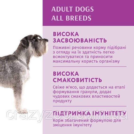 Влажный корм для собак OptiMeal Adult с кроликом и черникой в соусе 100 г B2910602 | Зображення 1