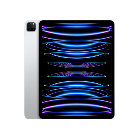 IPad Pro 11 2022 Wi-Fi + Cellular 256GB Silver (MP583, MNYF3)