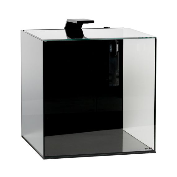 Акваріумний набір BlackCube 30 літрів, з чорною задньою стінкою, 31х31х31 см, скло 4 мм | Зображення 3