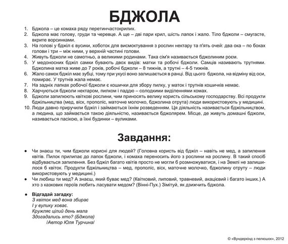 Набор карточек Домана - Насекомые. На украинском. Без ламинации. | Зображення 1