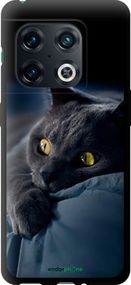 Чохол на OnePlus 10 Pro Димчастий кіт "825b-2588-2448"