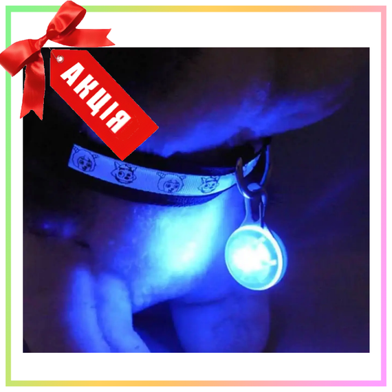 Светящийся LED брелок, на карабине, для собак, на ошейник, с батарейкой