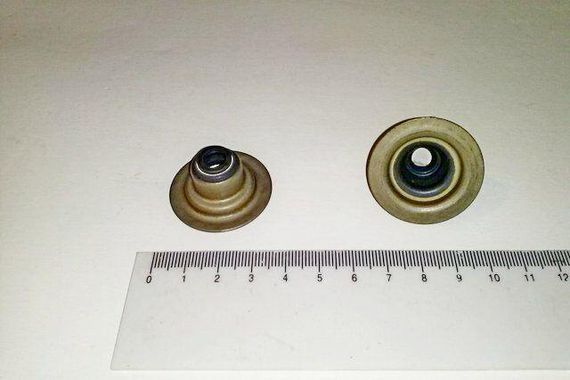 Сальники клапанів Amulet, VICTOR REINZ (70-31056-00) 1 шт.