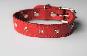 Кожаный ошейник со стразами "Lockdog" красный