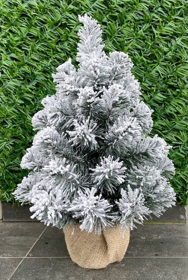 Ялинка Classic 50 см в мішковині засніжена | Зображення 2