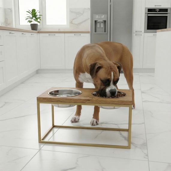 Миски на подставке для средних и больших собак Hollky Base L (2 × 0,95 л) BL-422120-GLNT | Зображення 1