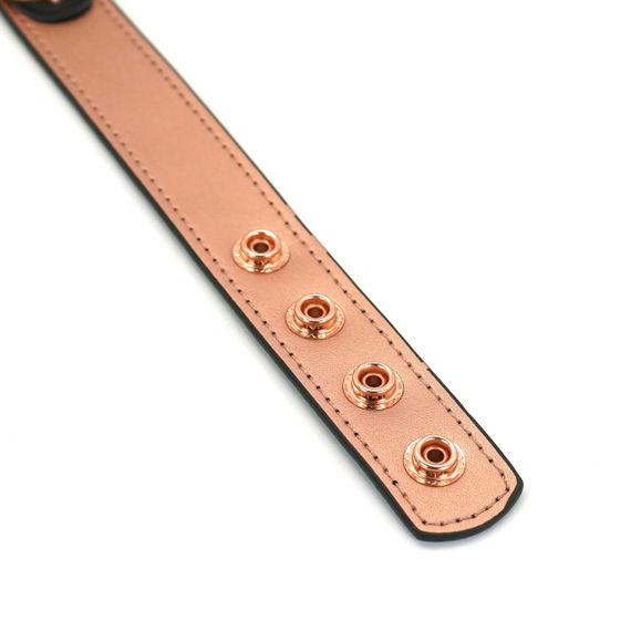 Нашийник із затискачами для сосків Liebe Seele Rose Gold Memory Collar with Nipple Clamps, шкіра sexstyle | Зображення 3
