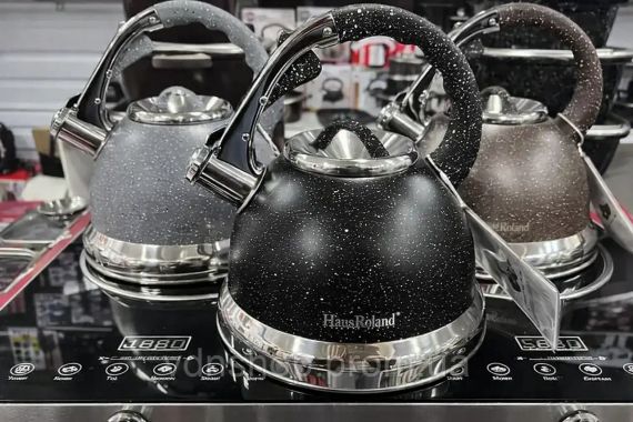 Чайник із гранітним покриттям зі свистком Haus Roland HR 704-5 3,5 л із нержавіючої сталі