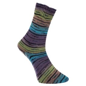 Pro Lana Golden Socks Serfaus, 04