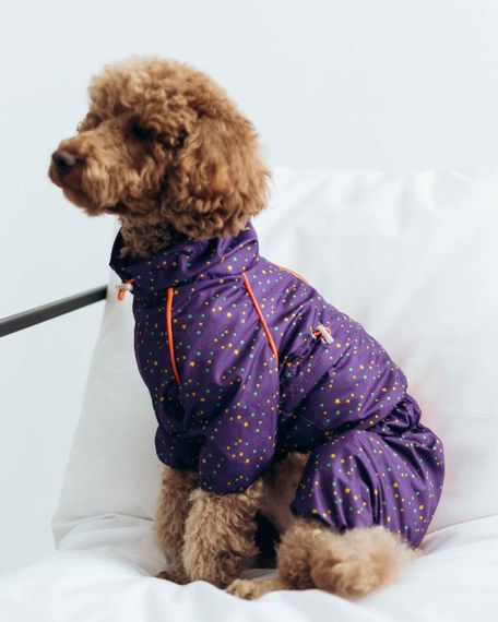 Дощовик кант зiрочки фiолет M-98 | Зображення 1