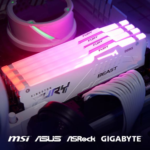 Модуль пам'яті для комп'ютера DDR5 32GB 6000 MHz Beast AM5 RGB White Kingston Fury (ex.HyperX) (KF560C36BWEA-32) | Зображення 4