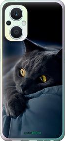 Чохол на Oppo Reno8 Lite Димчастий кіт "825u-2755-2448"
