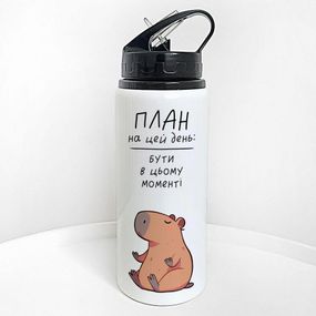 Пляшка для води з трубочкою План на цей день: бути в цьому моменті 600 мл (PLV_25A032)