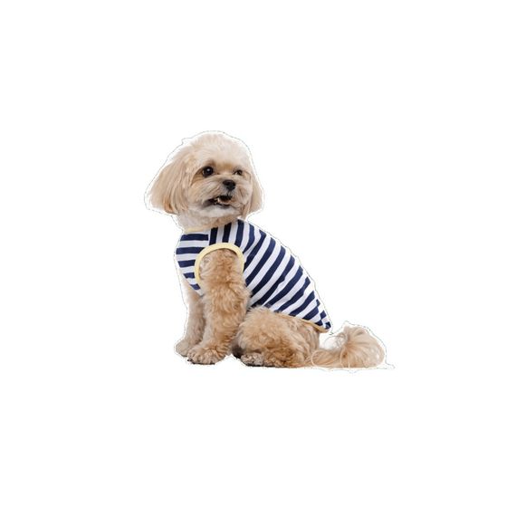 Майка Pet Fashion Tropic для собак XХS | Зображення 1