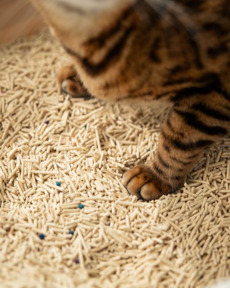 Растительный наполнитель для кошачьего туалета с бентонитом Velvet Paw Tofu, 6 л | Зображення 5