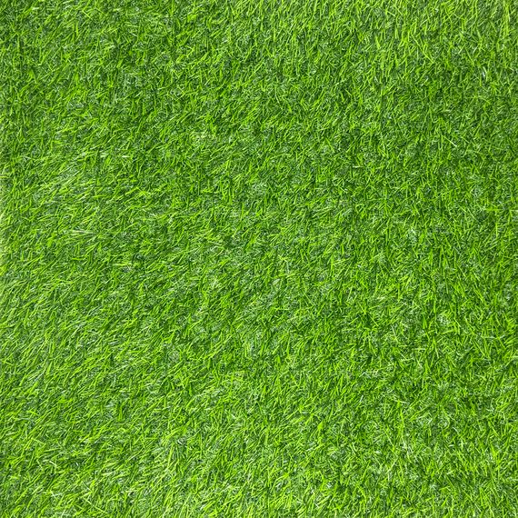 Искусственная трава для улицы CCGrass Fan 25 4м. | Зображення 1