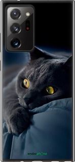 Чохол на Samsung Galaxy Note 20 Ultra Димчастий кіт "825t-2051-2448"