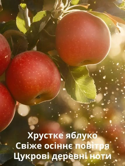 Міст для тіла Victoria's Secret Dreamy Apple Orchard (250 ml) | Зображення 1