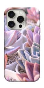 Чохол з картинкою Ехеверія 2 для Apple iPhone 16 Pro (6.3")