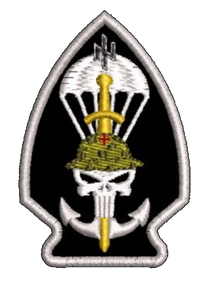 Шеврон ДШВ