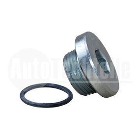 Пробка поддона с шайбой Fiat Ducato 2.3 D Multijet 06-  (M22x1.5 L=10), AutoTechteile, 512 1016, 257.856.011