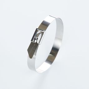 Хомут металевий 7,9х370 (пач 100 шт.) APRO CTM-793701