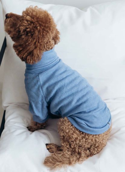 Гольф небесний Y-318 | Зображення 1