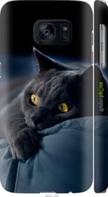 Чохол на Samsung Galaxy S7 G930F Димчастий кіт "825m-106-2448"