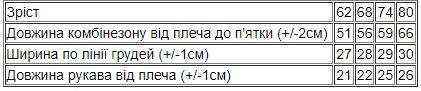 Комбінезон ясельний для хлопчика Носи своє 80 Бірюзовий (p-13226-147296) | Зображення 2