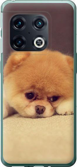 Чехол на OnePlus 10 Pro Boo 2 "890u-2588-17620"