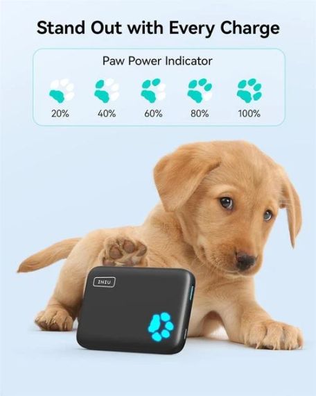 Бездротовий павербанк INIU 10000mAh 20W PD для MagSafe | Зображення 1