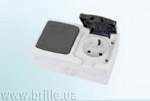 Переключатель+розетка WF-1V2+1RZ Water FORA | Зображення 2