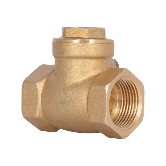 Зворотний клапан Thermo Alliance Standart 3/4" SD242W20 | Зображення 3